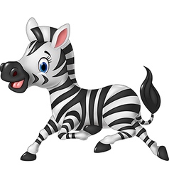 Zebra Running Vector Images (over 290)