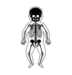 Baby Skeleton Vector Images (over 640)