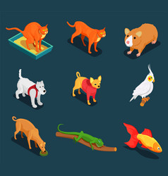 Cat icons Royalty Free Vector Image - VectorStock