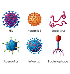 Diagram showing different kinds of viruses Vector Image