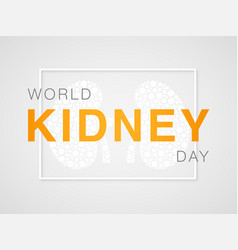 Kidney Vector Images Over 9 000