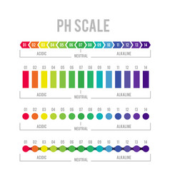 Snellen eye test charts Royalty Free Vector Image