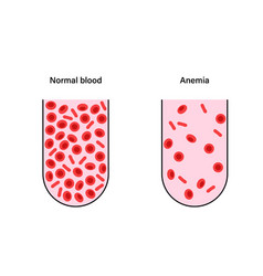 Blood cells in test tube Royalty Free Vector Image