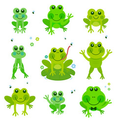 Cute frog cartoon collection set Royalty Free Vector Image