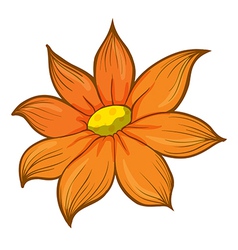 An orange flower Royalty Free Vector Image - VectorStock