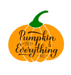 Pumpkin spice and everything nice calligraphy Vector Image