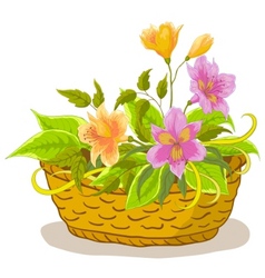 Baskets with flowers set Royalty Free Vector Image