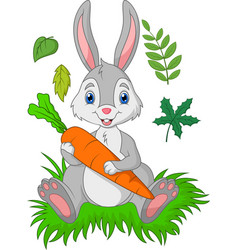 Cartoon Rabbits Collection Set Royalty Free Vector Image