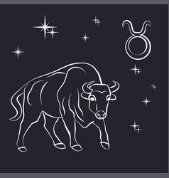 Black silhouette of taurus are on white Royalty Free Vector