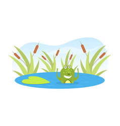 Frog Royalty Free Vector Image - VectorStock