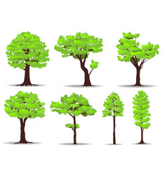 set of trees vector image