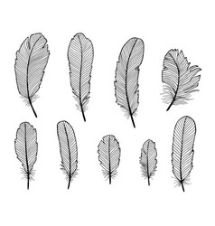 Set of abstract boho feathers on a white Vector Image