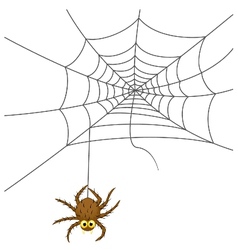 Cartoon spider Royalty Free Vector Image - VectorStock