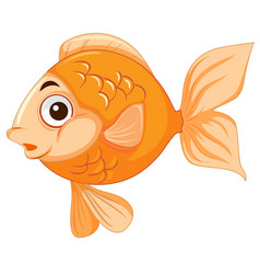 Golden fish in the tank Royalty Free Vector Image