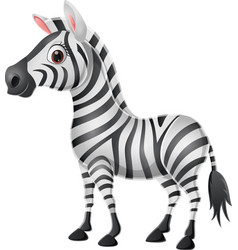 Funny zebra Royalty Free Vector Image - VectorStock