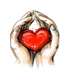 Human hands hold 2 red hearts - a symbol love Vector Image