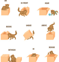 Prepositions cat playing with box learning Vector Image