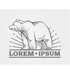 bear logos