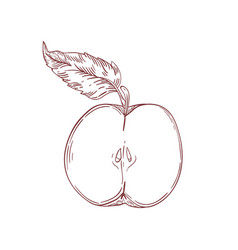 Apple Tree Clipart Vector Images Over 210