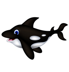 Killer whale cartoon Royalty Free Vector Image