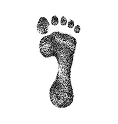 Footprint Sketch Vector Images Over 1 000