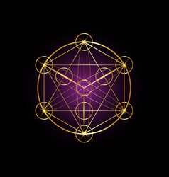 Metatrons cube flower life gold sacred geometry Vector Image