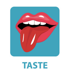 Taste areas Royalty Free Vector Image - VectorStock