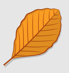 Elm autumn leaf flat design Royalty Free Vector Image