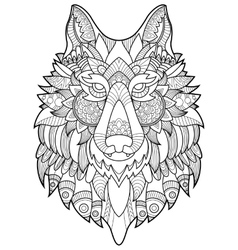 Lion coloring book for adults Royalty Free Vector Image