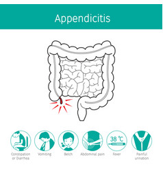 Appendicitis symptoms outline icons set Royalty Free Vector