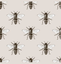 Bee and honeycomb seamless pattern Royalty Free Vector Image
