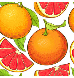 Grapefruit branch pattern Royalty Free Vector Image