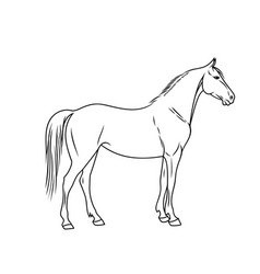 Farm horse cartoon for coloring book Royalty Free Vector