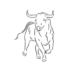 Black and white linear paint draw bull bull Vector Image