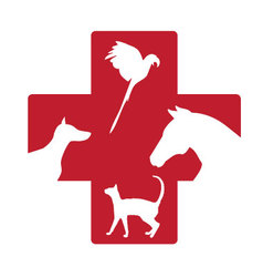 vet medicine