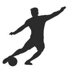 Kick a soccer ball leg and football ball from Vector Image