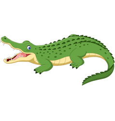 Cute crocodile cartoon Royalty Free Vector Image