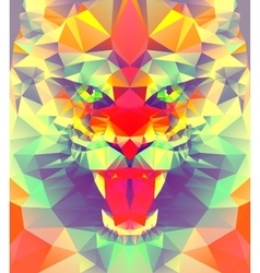 Creative Abstract Colorful Tiger Head Vector Images 52