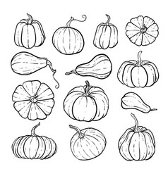 Cut out pumpkin decorative set Royalty Free Vector Image