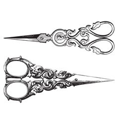 Engraving scissors Royalty Free Vector Image - VectorStock
