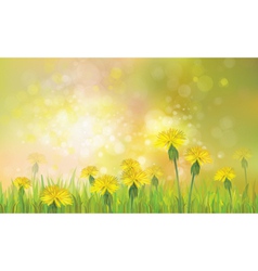 Green background Royalty Free Vector Image - VectorStock