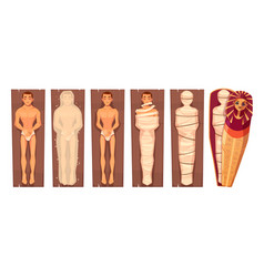 Mummy egyptian relic pharaoh tomb wrapped corpse Vector Image