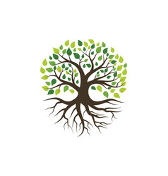 Tree silhouette with root logo design template Vector Image