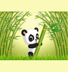 Panda action playing together under the bamboo Vector Image