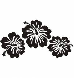 Honolulu flower Royalty Free Vector Image - VectorStock