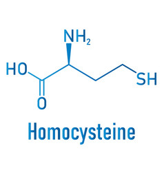 Homocysteine or hcy molecule skeletal formula Vector Image