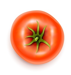 Red ripe tomato Royalty Free Vector Image - VectorStock