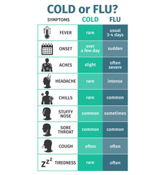 Flu cold symptoms flat infographic poster Vector Image