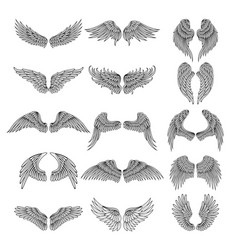 Set of eagle or angel wings Royalty Free Vector Image