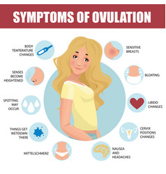 Pcos symptoms infographic detailed infographic Vector Image